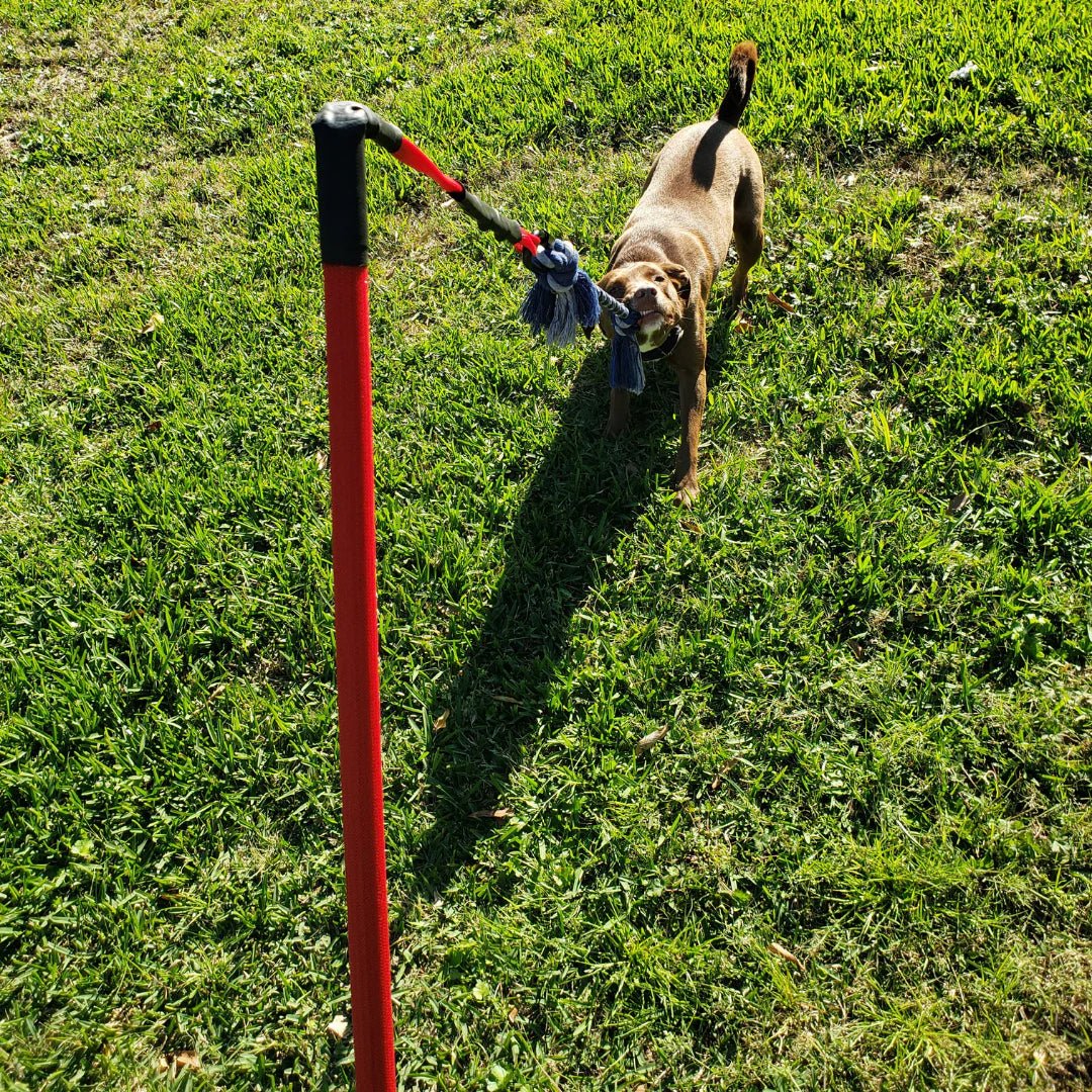 Durable Dog Tug Toy Kit for All Sizes – Solo Play & Heavy Duty Options - Paw Fit Gears