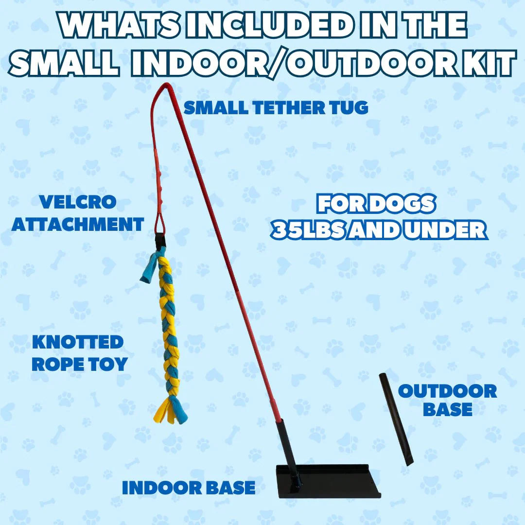 Durable Dog Tug Toy Kit for All Sizes – Solo Play & Heavy Duty Options - Paw Fit Gears