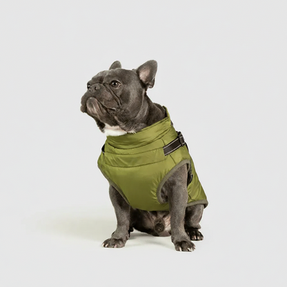 3 in 1 Winter Jacket + FREE Dog Safety Belt