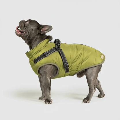 3 in 1 Winter Jacket + FREE Dog Safety Belt