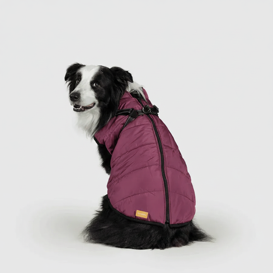 3 in 1 Winter Jacket + FREE Dog Safety Belt