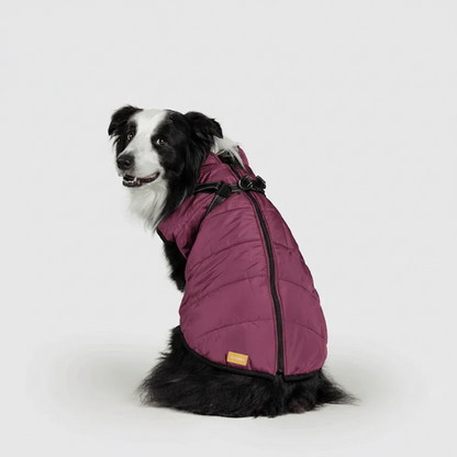 3 in 1 Winter Jacket + FREE Dog Safety Belt