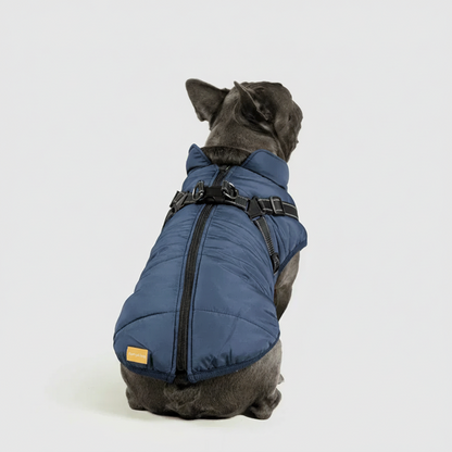 3 in 1 Winter Jacket + FREE Dog Safety Belt