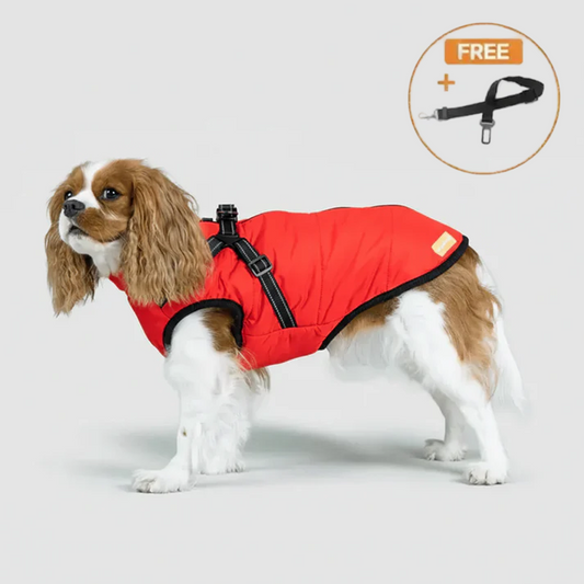 3 in 1 Winter Jacket + FREE Dog Safety Belt