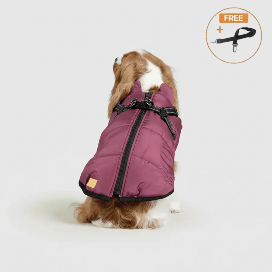 3 in 1 Winter Jacket + FREE Dog Safety Belt