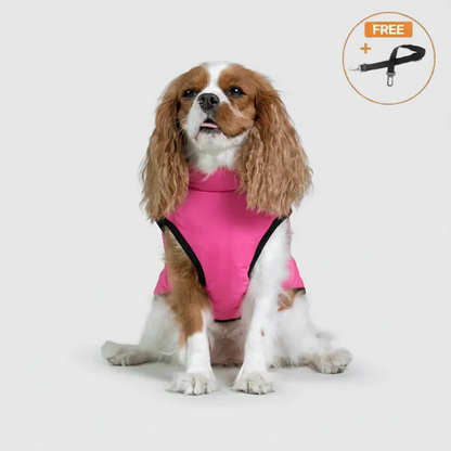3 in 1 Winter Jacket + FREE Dog Safety Belt