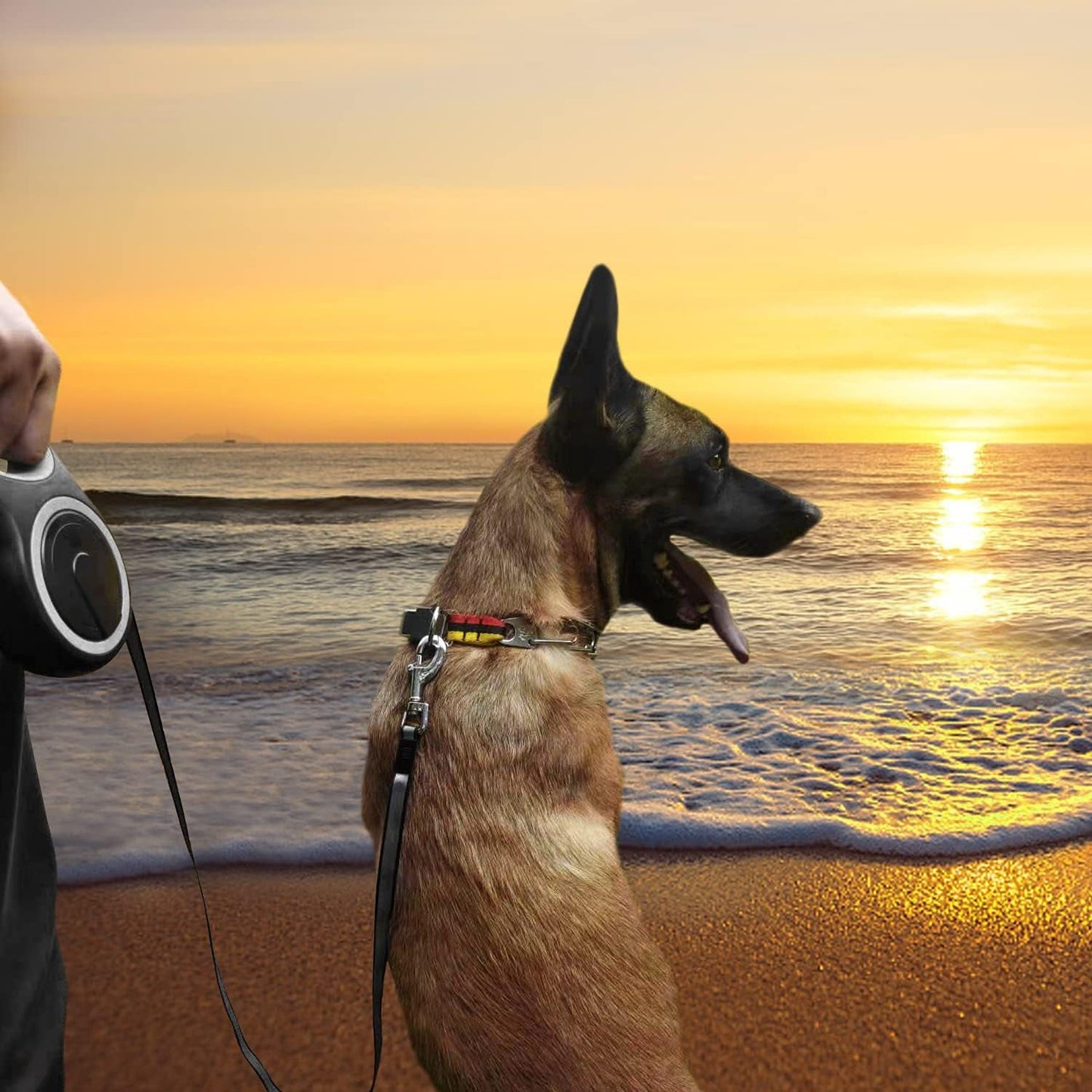 26ft Retractable Dog Leash – Heavy Duty for Dogs up to 110 lbs - Paw Fit Gears