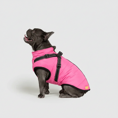 3 in 1 Winter Jacket + FREE Dog Safety Belt