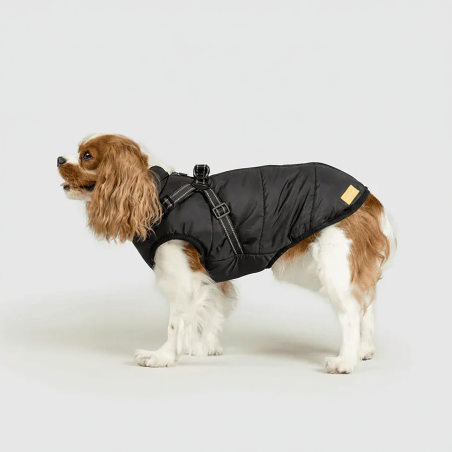 3 in 1 Winter Jacket + FREE Dog Safety Belt