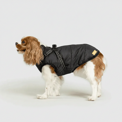 3 in 1 Winter Jacket + FREE Dog Safety Belt