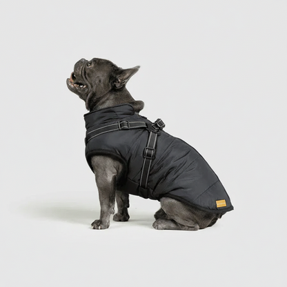 3 in 1 Winter Jacket + FREE Dog Safety Belt