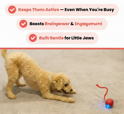 Compact Extendable Reaching Tool